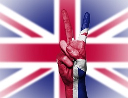Why Do You Need Immigration Services?